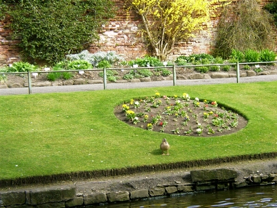 Canal Gardens